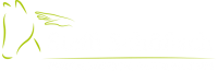 Pferde-Mensch-Natur – Stephanie Schfisch