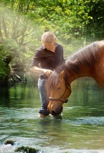 Balance zwischen Pferd & Reiter - Steffi mit Pferd im Wasser