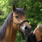 Pferd Neville mit Besitzerin Stephanie Schöfisch