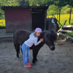 kleines Mädchen kuschelt mit Pony