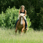 Steffi gallopiert mit Haflinger über die Wiesen